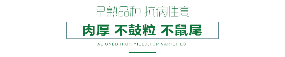 1558057505325812.jpg 詳情頁23.jpg